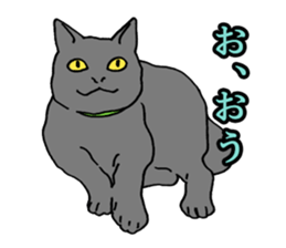 Easy Cats sticker #1504055