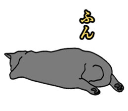 Easy Cats sticker #1504058