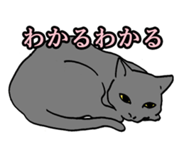 Easy Cats sticker #1504061