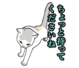 Easy Cats sticker #1504063