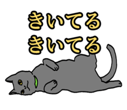 Easy Cats sticker #1504064