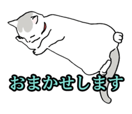 Easy Cats sticker #1504072