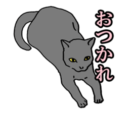 Easy Cats sticker #1504074