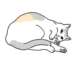 Easy Cats sticker #1504077