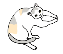 Easy Cats sticker #1504081