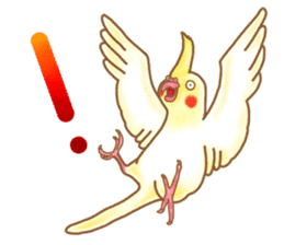 Cockatiel Okame-chan  Sticker sticker #1506021