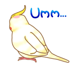 Cockatiel Okame-chan  Sticker sticker #1506023