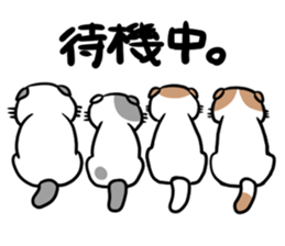 sukosuta! sticker #1506260