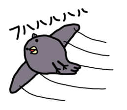 Crow say things from above sticker #1507996