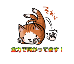 full nukko sticker #1510196