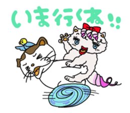 Persian cat "chami" sticker #1510614