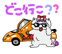 Persian cat "chami" sticker #1510628