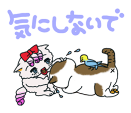 Persian cat "chami" sticker #1510633