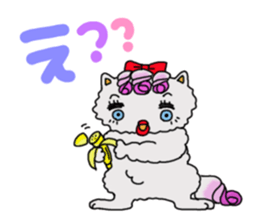 Persian cat "chami" sticker #1510636