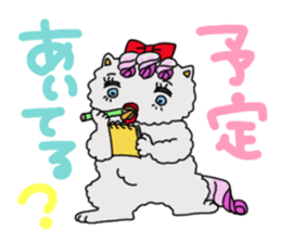 Persian cat "chami" sticker #1510642