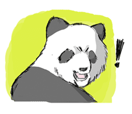 Various pandas sticker #1510689
