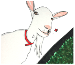 Goat! sticker #1511162