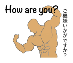 Trunks man's JPN-conversation sticker sticker #1513049