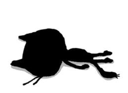 Black cat "Matton" English ver. sticker #1513460