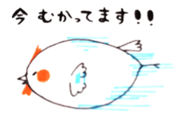 Homing pigeons [Kokko] sticker #1518600