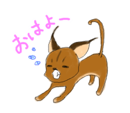 Caracal,ca-ru sticker #1520328