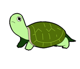 sticker of cute turtle sticker #1521168