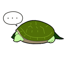 sticker of cute turtle sticker #1521169