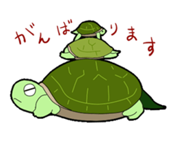 sticker of cute turtle sticker #1521171