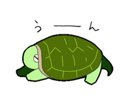sticker of cute turtle sticker #1521172