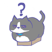 Cat in a box sticker #1524774
