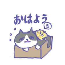 Cat in a box sticker #1524775