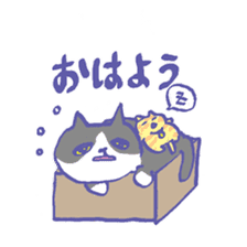 Cat in a box sticker #1524775