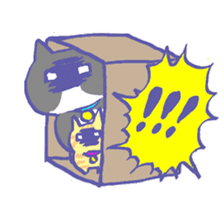 Cat in a box sticker #1524780
