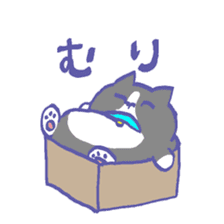 Cat in a box sticker #1524786