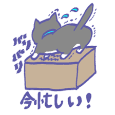 Cat in a box sticker #1524788