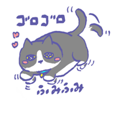 Cat in a box sticker #1524792