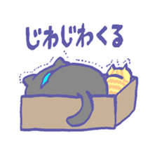 Cat in a box sticker #1524794