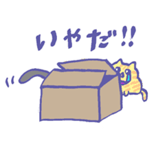 Cat in a box sticker #1524797