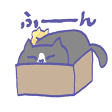 Cat in a box sticker #1524798