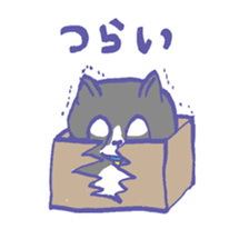 Cat in a box sticker #1524804