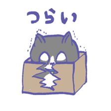 Cat in a box sticker #1524804