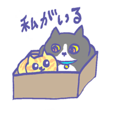 Cat in a box sticker #1524805