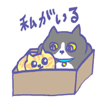 Cat in a box sticker #1524805