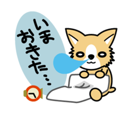 MaCHIWAWA-se sticker #1525198