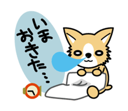 MaCHIWAWA-se sticker #1525198