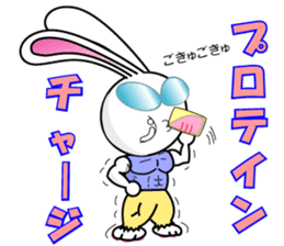 RUNRUN RUNBBITS sticker #1525624