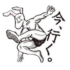 Rabbit big brother