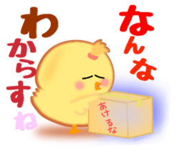 Hana chick Hakata born sticker #1534102