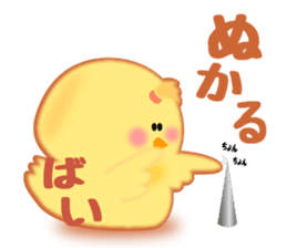 Hana chick Hakata born sticker #1534115