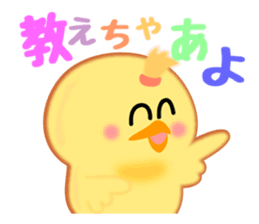 Hana chick Hakata born sticker #1534134